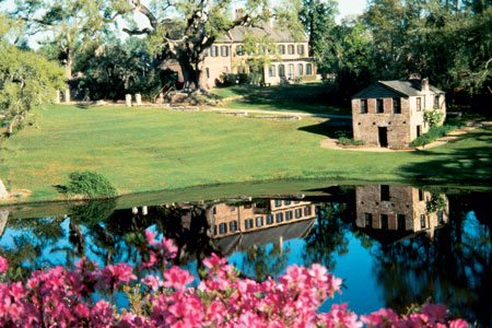 
Middleton Place Gardens
